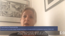 Schermata 2020-06-04 alle 23.38.27