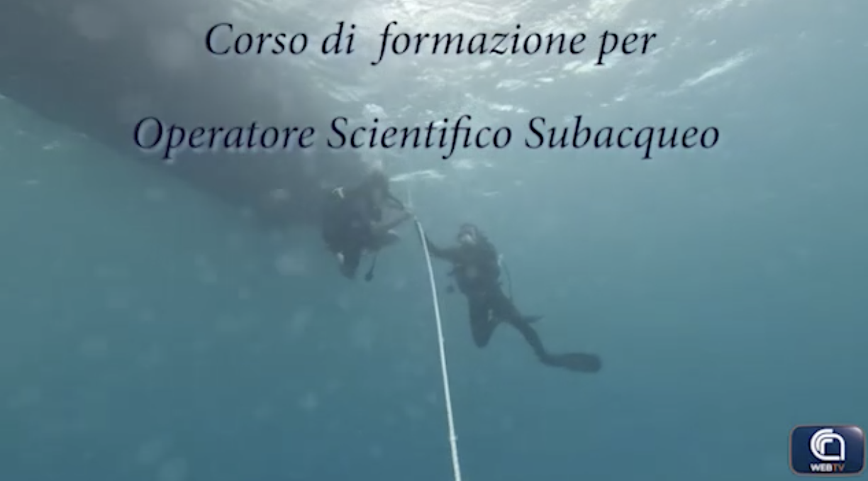 A Capo Granitola, il corso per i subacquei scientifici Cnr corso sub Capo Granitola