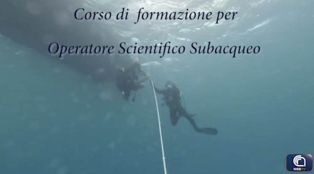 A Capo Granitola, il corso per i subacquei scientifici Cnr