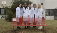 Donne e Scienza: l’Area Cnr di Pisa inizia i festeggiamenti per i suoi 25 anni Panchina rossa Pisa