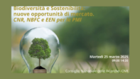 Dalla ricerca all’impresa Immagine